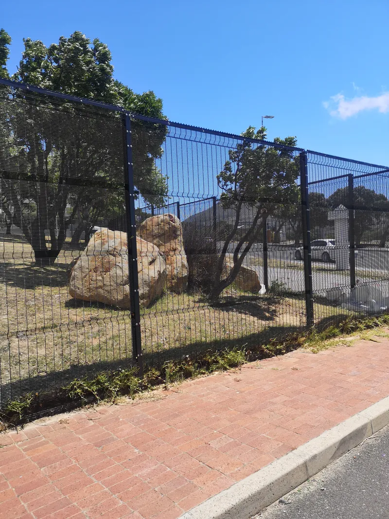 Clearview anti-climb fence enclosing landscaped commercial boundary in Cape Town