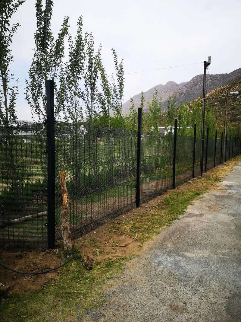 Clearview mesh perimeter fence around orchard with mountain backdrop in Western Cape winelands
