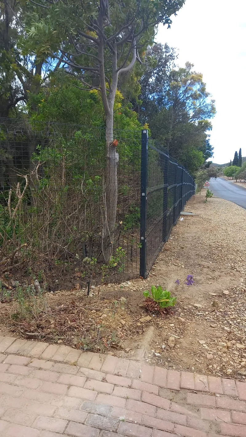 Black clearview mesh fence along roadside boundary in rural Western Cape neighbourhood