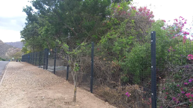 Long Clearview mesh fence run along Western Cape residential street with mountain backdrop