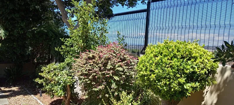 Blue clearview mesh boundary fence with garden shrubs and distant Cape Town view
