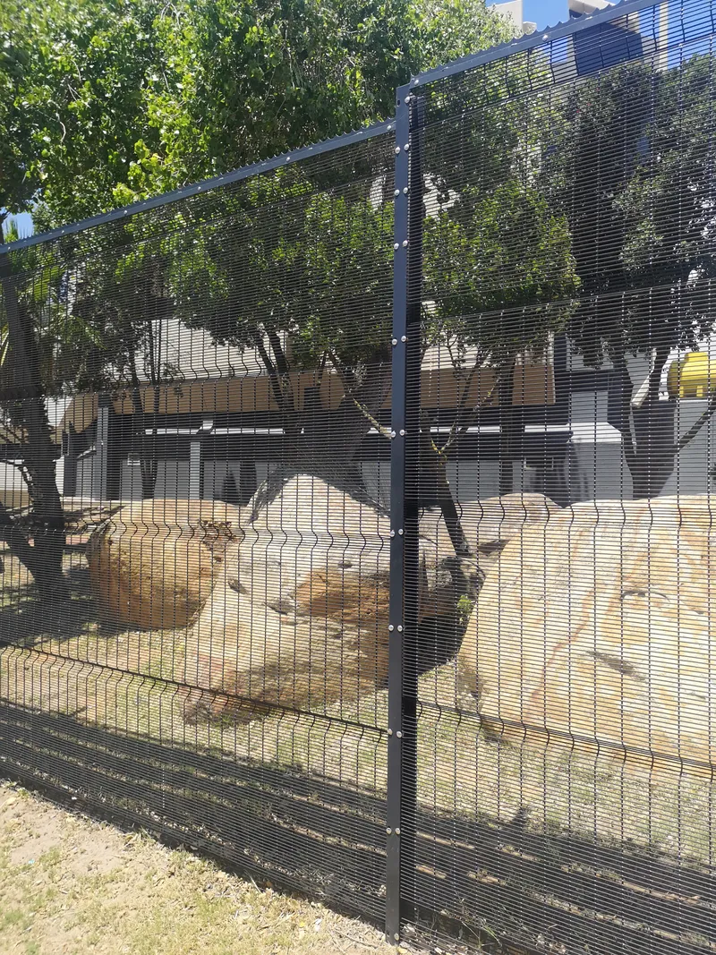 Tall clearview anti-climb fence enclosing commercial perimeter with boulders in Cape Town