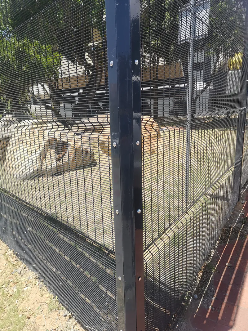 Corner section of tall clearview anti-climb fence at Cape Town commercial property