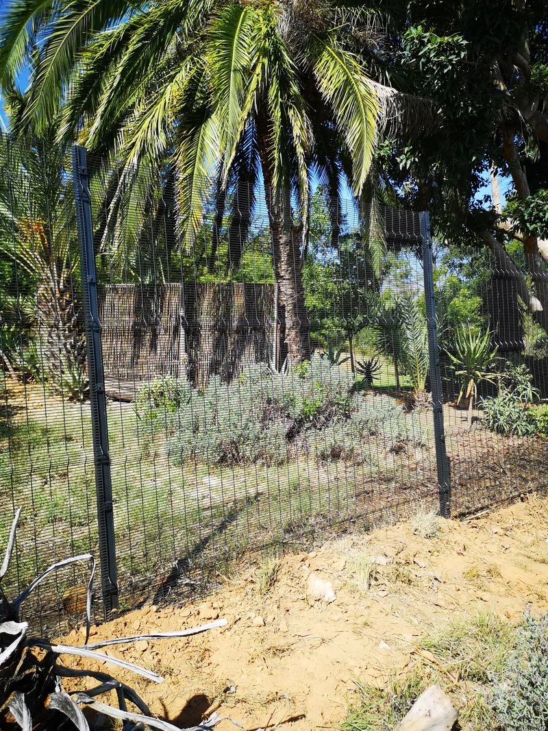 Clearview mesh fence in lush garden setting at Western Cape residential property