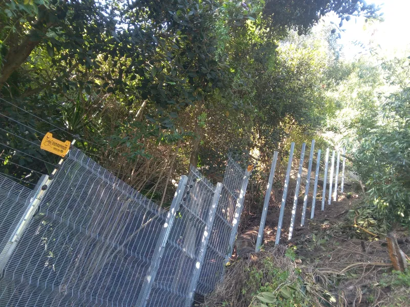 Galvanised clearview mesh fence along leafy residential garden boundary in Cape Town