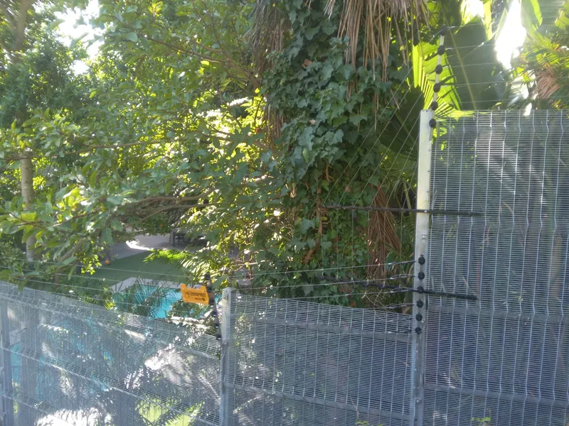 Clearview mesh fence with electric wires protecting pool area in Cape Town garden