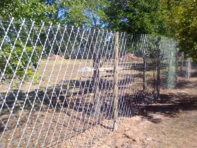 Razor mesh diamond-pattern high-security fence at rural property in the Western Cape