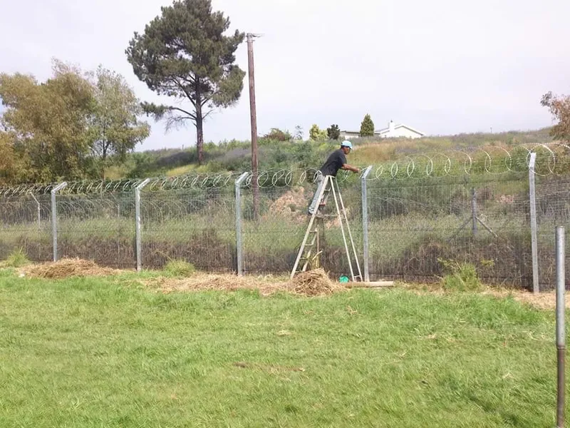 D&H Fencing worker on ladder fitting razor wire to a galvanised perimeter fence in the Western Cape
