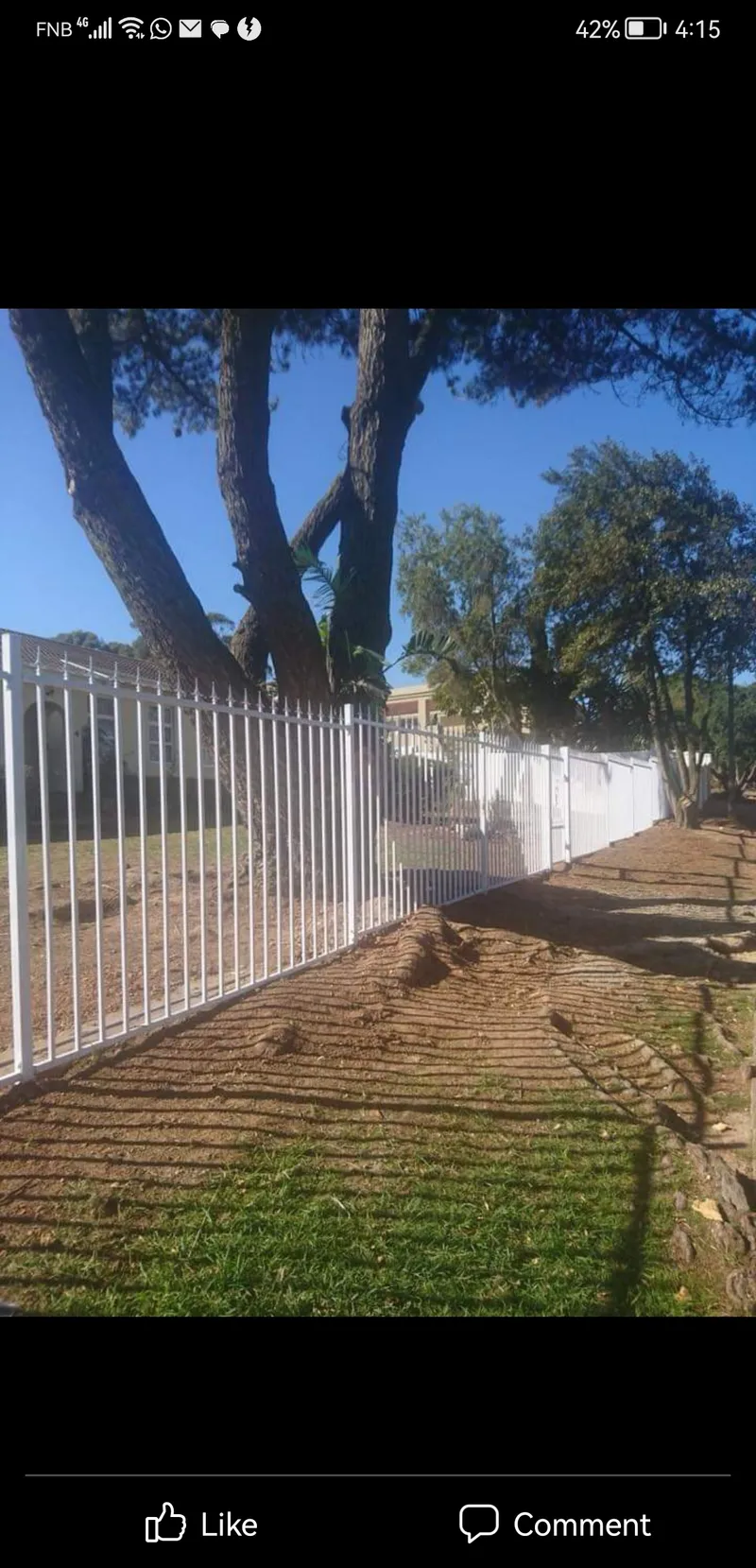 White tubular steel boundary fence along grass verge under pine trees in Cape Town